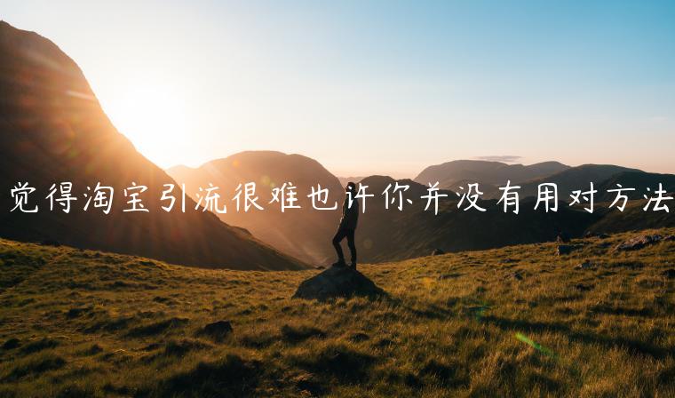 覺(jué)得淘寶引流很難也許你并沒(méi)有用對(duì)方法